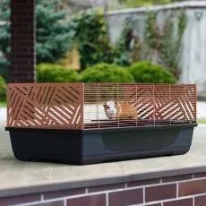 Cușcă pentru porcușori de Guineea Roberto Industrial - 100 x 54 x 40 cm