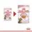 Royal Canin Kitten Sterilised &icirc;n suc pentru pisoi castrați 12 x 85 g