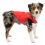 Jachetă Kurgo Loft pentru câini - Chili Red/Charcoal, XS