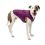 Jachetă Kurgo Loft pentru câini - Deep Violet/Grey, XS