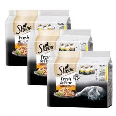 Pliculețe Sheba Fresh & Fine pentru pisici, selecție de pasăre 3 x (15 x 50 g)