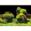 Fundal pentru acvariu ROCK/PLANTS L - 100 x 50 cm