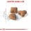 ROYAL CANIN SENSIBLE 10 kg + 10 pliculețe GRATUIT