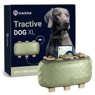 Tractive GPS DOG XL - urmărește locația și activitatea câinelui dumneavoastră - verde
