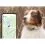 Tractive GPS DOG XL - urmărește locația și activitatea c&acirc;inelui dumneavoastră - verde