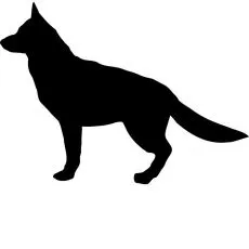 Granule pentru rase de c&acirc;ini mari