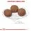 ROYAL CANIN MEDIUM PUPPY 15 kg + 10 pliculețe GRATUIT