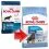 ROYAL CANIN MAXI PUPPY 15 KG + 10 pliculețe GRATUIT