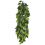 Ficus silk large - plantă pentru terarium, 70cm
