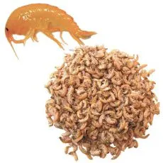 Creveți gammarus deshidratați 1000ml