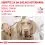 Royal Canin VHN Dog Urinary S/O Age 8 kg