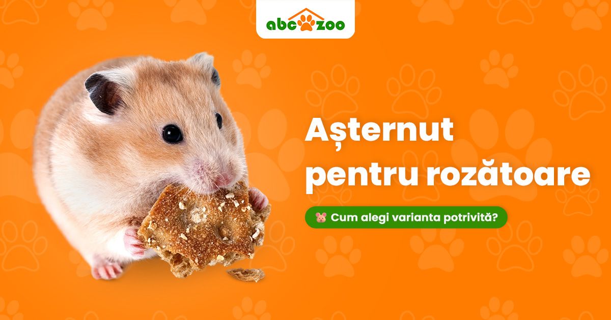 Confortul pe care rozătoarea ta îl merită: Cum alegi așternutul ideal?