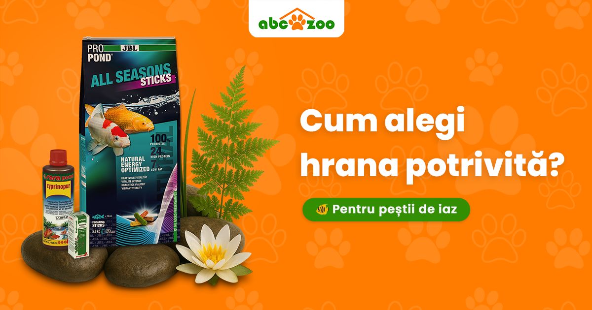 Cum alegem hrana potrivită pentru peștii din iaz pentru a le susține sănătatea și vitalitatea?