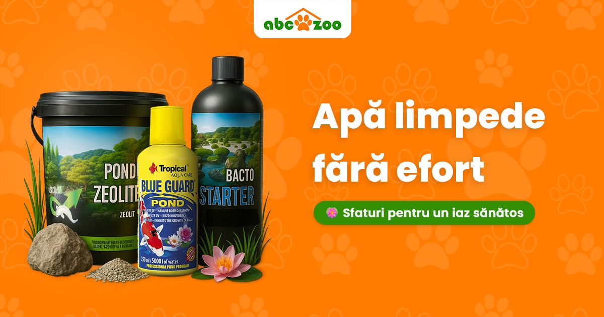 Cum menținem apa din iaz curată și fără alge?