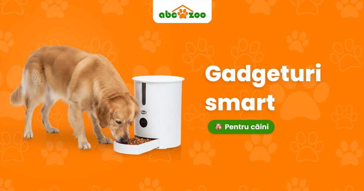 Gadgeturi smart pentru câini: tehnologia în slujba prietenilor noștri blănoși