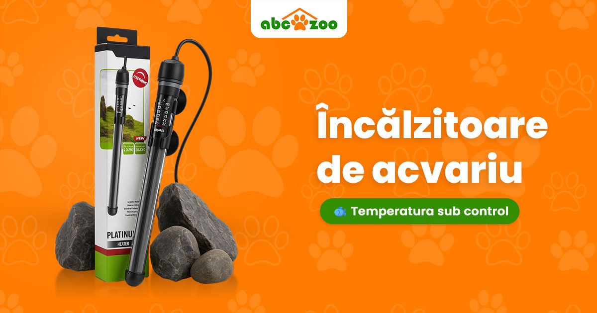 Căldură sub luciu: de ce încălzitorul de acvariu este esențial pentru acvariul tău