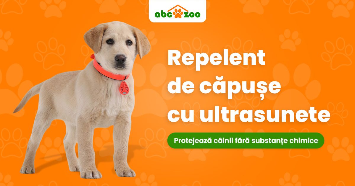 De ce să alegeți un repelent de căpușe cu ultrasunete pentru câini?