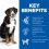 Hill's Science Plan Canine Adult Large Breed Chicken 18kg + 4 conserve GRATUIT