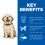 Hill's Science Plan Canine Puppy Large Breed Chicken 14,5kg -  AMBALAJ DETERIORAT