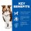 Hill's Science Plan Canine Mature Adult 7+ Medium Chicken 14kg