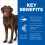 Hill's Science Plan Canine Adult Healthy Mobility Large Breed Chicken 2 x 14kg