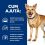 Hill's Prescription Diet i/d Stew Digestive Care conserve pentru câini 354 g