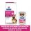 Hill's Prescription Diet Gl Biome Stew Îngrijire digestivă conserve pentru câini 6 x 354 g