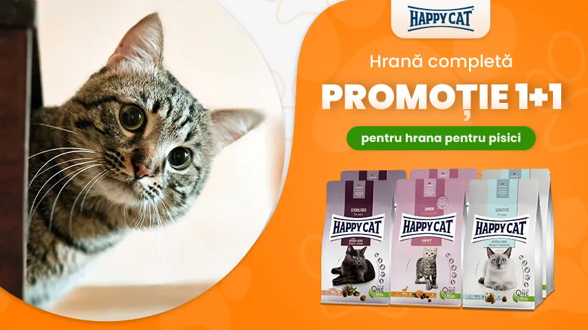 Happy Cat 1+1 gratuit