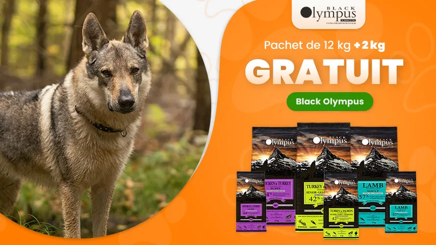 Black Olympus 12 + 2 kg GRATUIT
