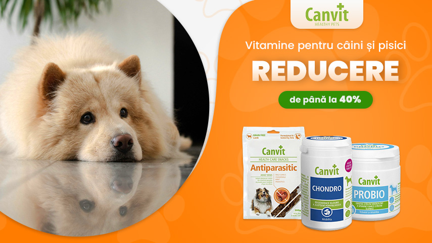 Canvit - reducere de până la 40%
