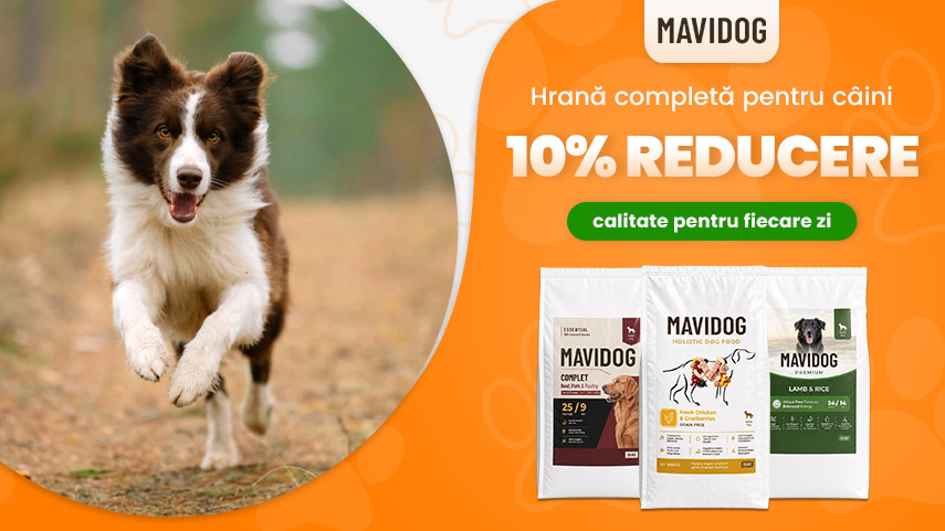 Mavidog ofertă