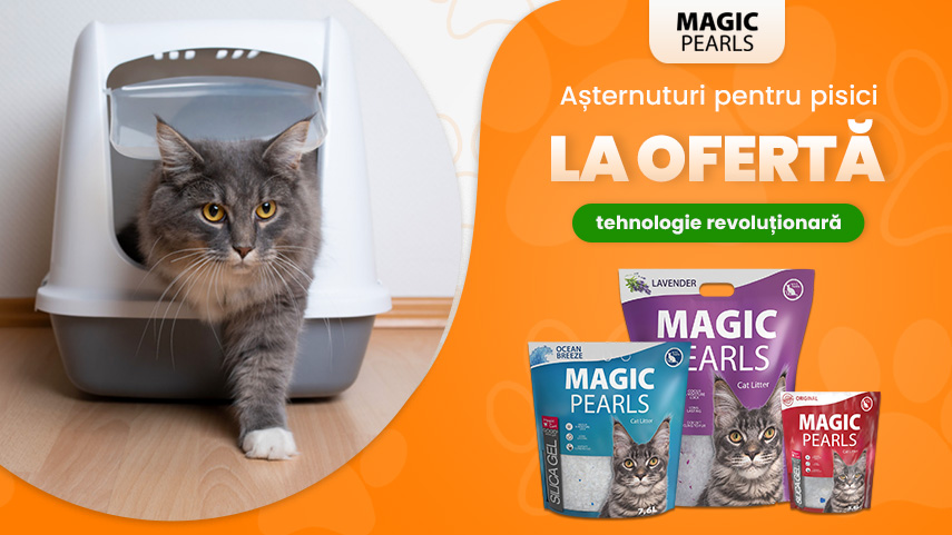 Magic Pearls la ofertă