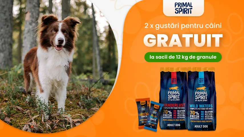 Primal Spirit - 2 x recompense gratuit