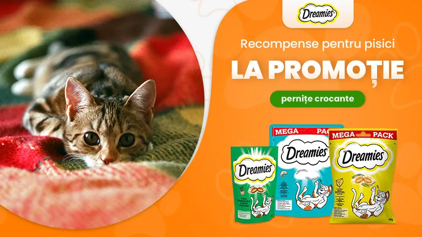 Dreamies la promoție