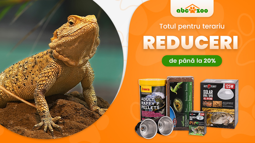 Teraristică - reducere de până la 20%
