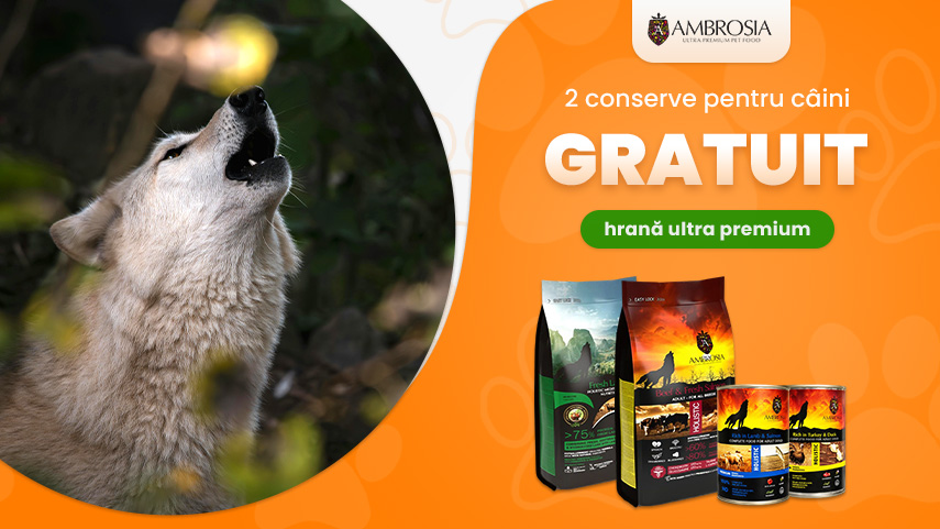 Ambrosia 2 conserve gratuit