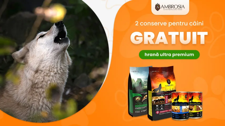 Ambrosia 2 conserve gratuit